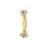 gold gem rook barbell bar